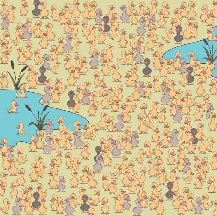 A rejtély és a lényeg