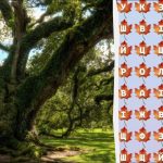 A zseniknek csak 2%-a találja meg a „fa” szót 10