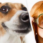 Csak egy igazi IQ titán látja meg a kutyát a