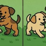 IQ teszt: találj 3 különbséget két kiskutya képén 51 másodperc